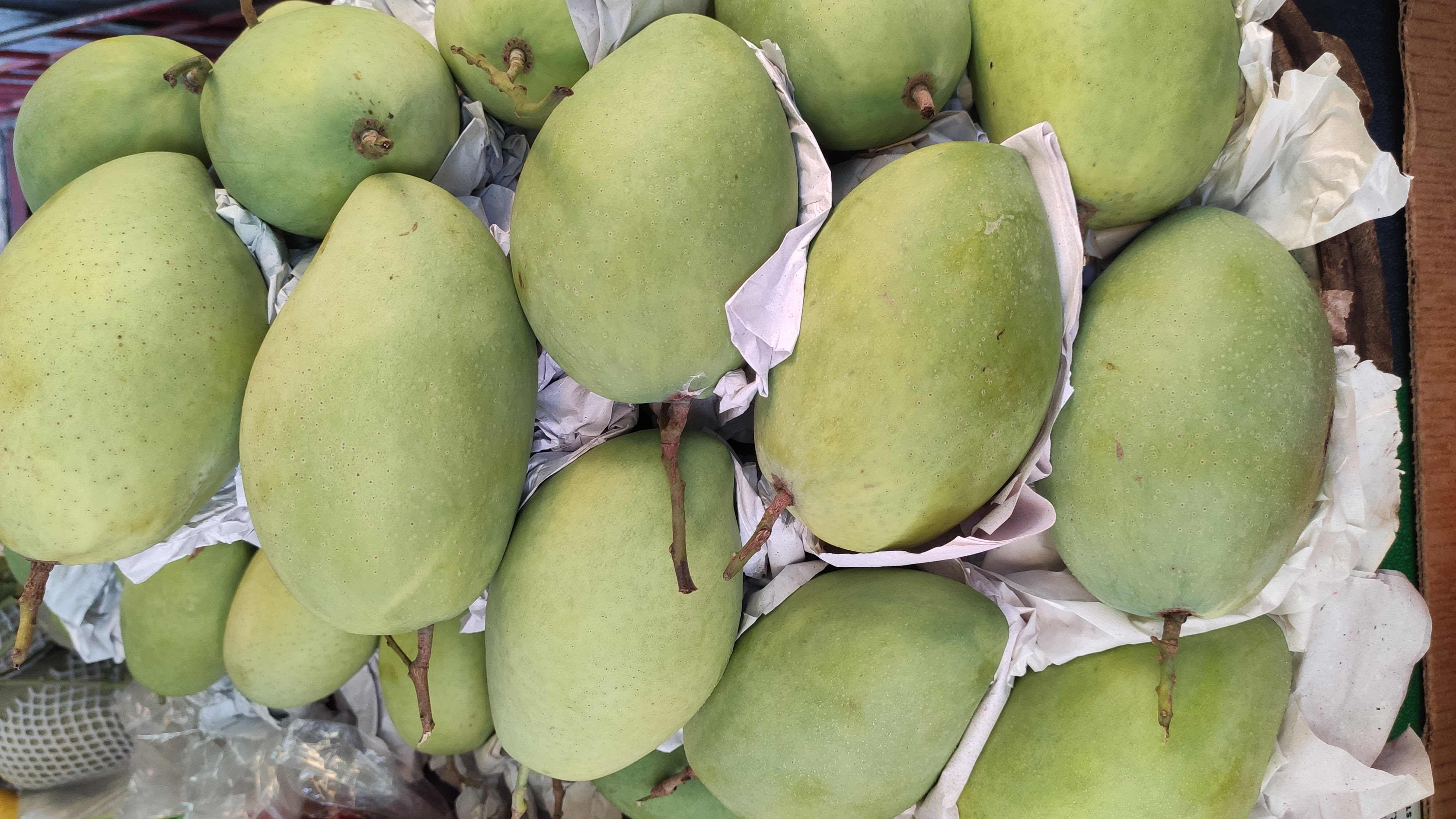Xoài cát Hoà Lộc